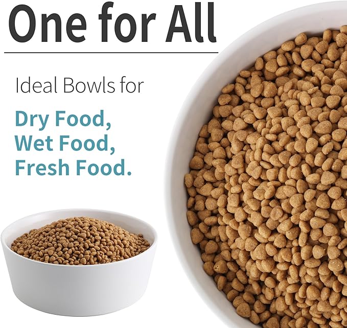 White Dog Bowl Ceramic for Medium Large Breed, Heavy Weighted Dog Food Water Dish, 8 in Non - Slip Modern Cute Extra Big Porcelain Pet Bowl Maze Wide Mouth