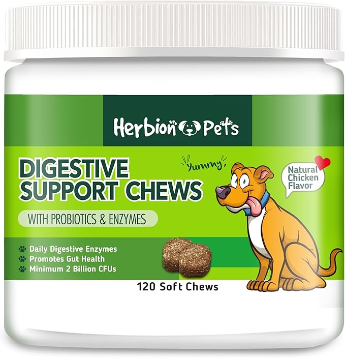 Herbion Pets Digestive Support Chews with Probiotics & Enzymes, 120 Soft Chews, with Daily Digestive Enzymes, for Improved Gut Health, Minimum 2 Billion CFUs, Made in USA for Dogs 12 Weeks+, Pack 1