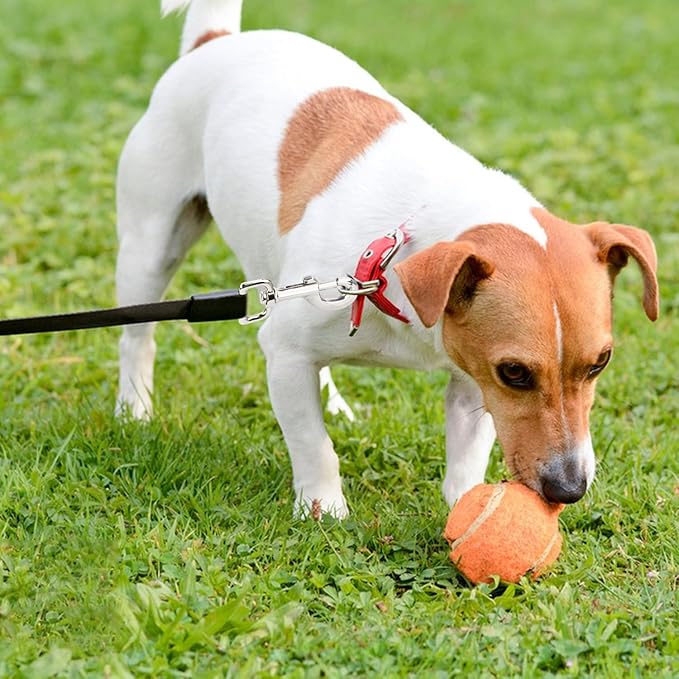 Swivel Snap Hooks Heavy Duty Dog Leash Hook Trigger Clip Clasp for Linking Pet Leash Collar, Key Chain, Dog Playpen (3-1/2" (8cm), 0.79", 10 Pack)