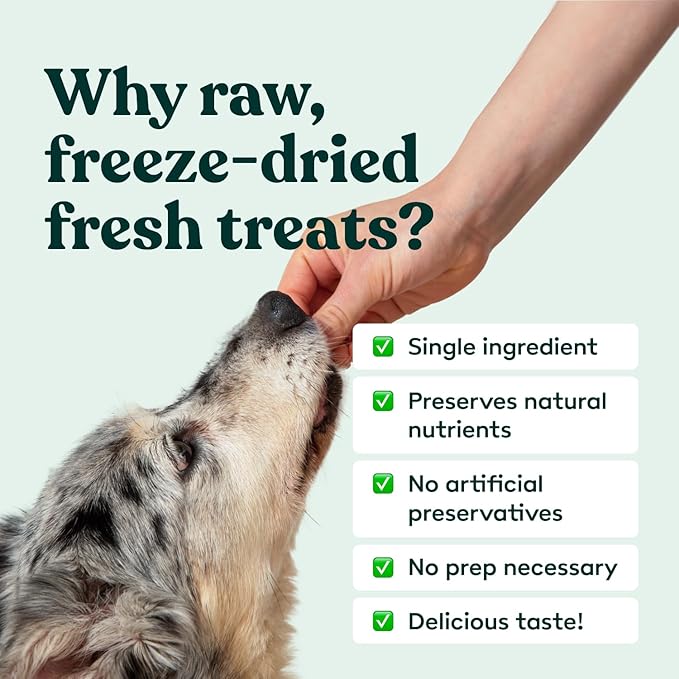 Little Hunter Freeze-Dried Raw Quail Egg Yolk for Dog & Cat Treats | Single-Ingredient High Protein, High Omega-3, Grain & Gluten-Free Training Reward | All Natural, Healthy Pet Treats, 4.2 oz