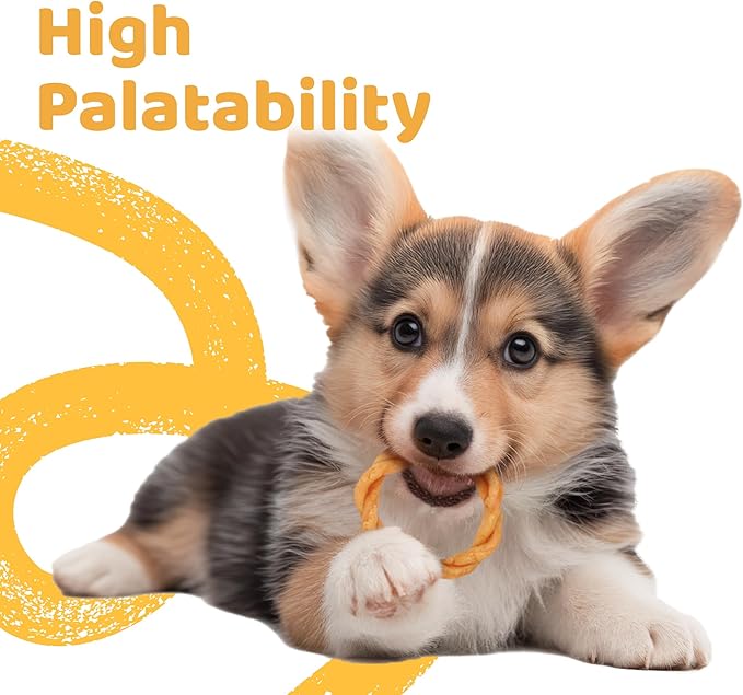 iPaw Turkey Dog Treats, All Natural Human Grade Dog Treat, Suitable for Training chew, US Sourced Raw Material, Hypoallergenic, Rawhide Alternative, Ring (Sweet Potato)