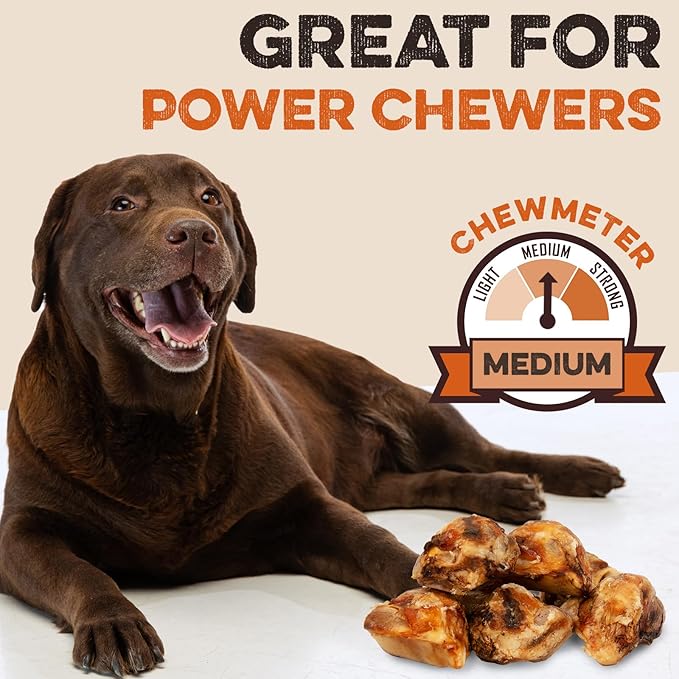 BRUTUS & BARNABY Kneecap Bones for Dogs – 100% USA-Sourced Beef – Long-Lasting Natural Chews for Aggressive Chewers – High Protein, Dental Health Support, (20-pk) – Made in The USA