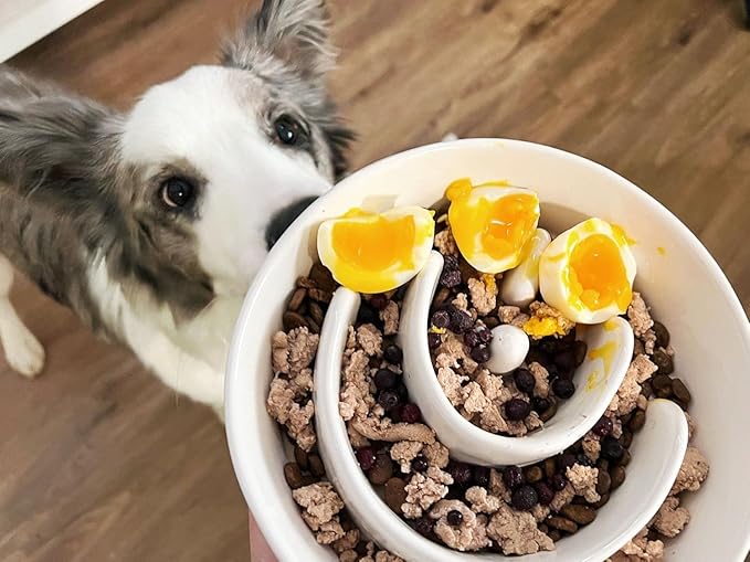 Slow Feeder Dog Bowls - 3-Cup Raised Ceramic & Wood Stand for Medium-Large Breed, White