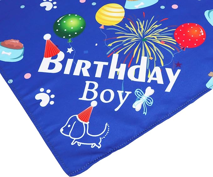 ADOGGYGO Dog Bandana Hat Set for Birthday Party Supply, Boy Girl Puppy Birthday Scarf for Small Dog (Small, Blue)