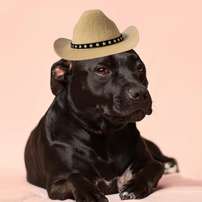 Dog Cowboy Hat Cat Cowboy Hat Pet Cowboy Costume Mini Cowboy Hat for Dogs Cat Holiday Halloween Pet Party Decoration (Khaki, Large)