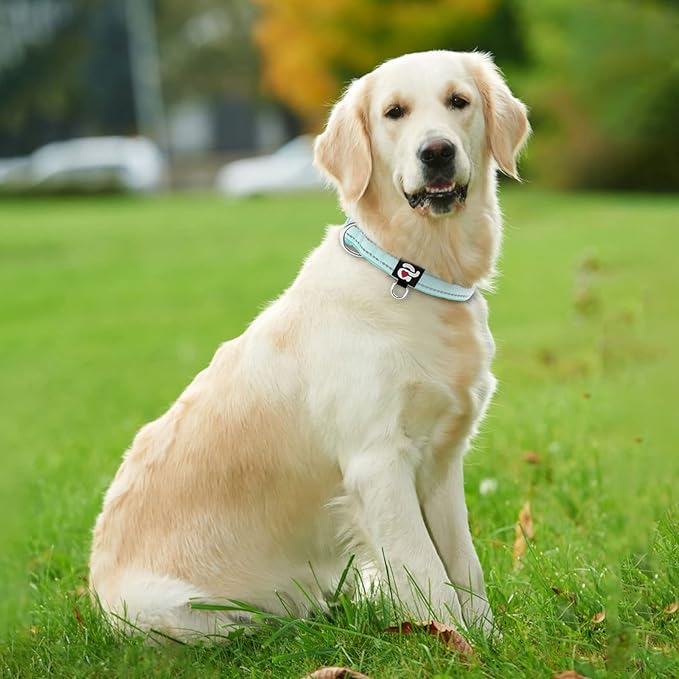 azuza Reflective Dog Collar, Soft Neoprene Padded Pet Collar with ID Tag Ring, Adjustable for Large Dogs,Teal,L