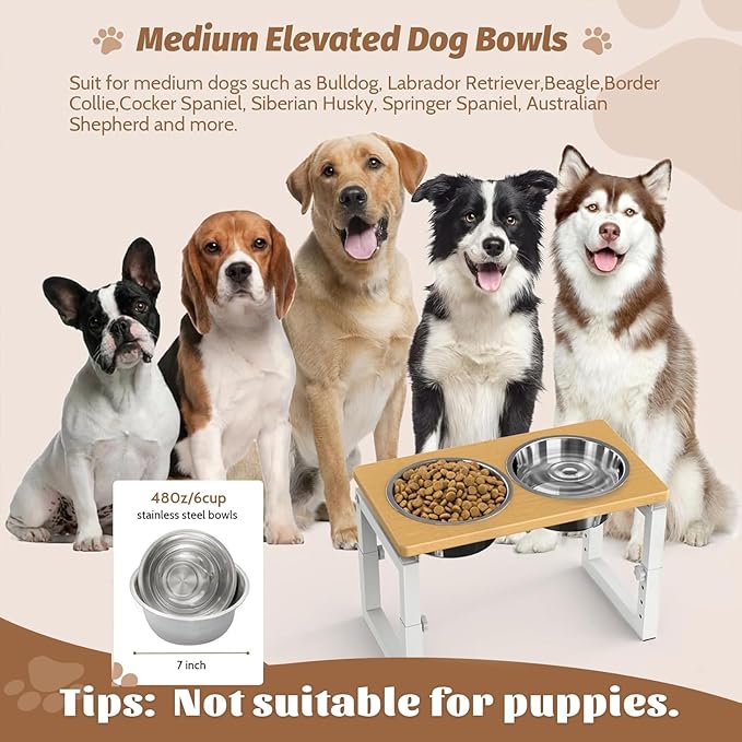 Dog Bowls Elevated, 4 Height & Angle Adjustable Raised Dog Bowl Stand, Elevated Dogs Bowl Stand For Medium Sized Pet, Sturdy Bamboo Dogs Feeding Station With 2x 48oz(6cup) Stainless Steel Dishes,White