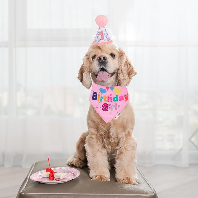 ADOGGYGO Dog Birthday Party Supplies, Pink Girl Puppy Birthday Bandana Hat Numbers Bow Set for Small Dogs Pets (Small)