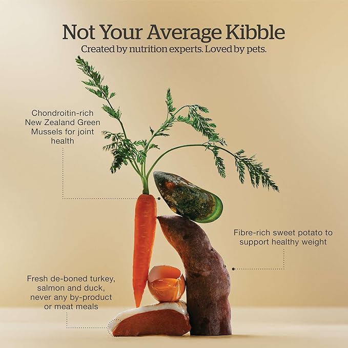 Now Fresh Grain-Free Senior Dry Dog Food with Turkey, Salmon & Duck, Premium Kibble Made with Real Meat & Fish, Chicken-Free Recipe, Glucosamine & Chondroitin for Healthy Joints, 22 lb Bag