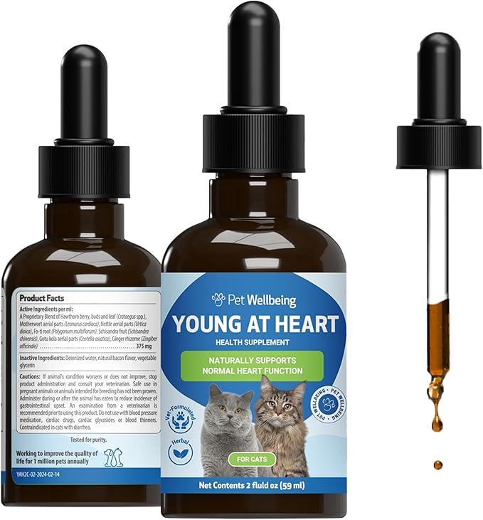 Pet Wellbeing Young at Heart for Cats - Senior Feline Heart Health Support, Cardiovascular Wellness & Vitality - NASC Certified & Vet-Formulated - 2 oz Liquid Formula