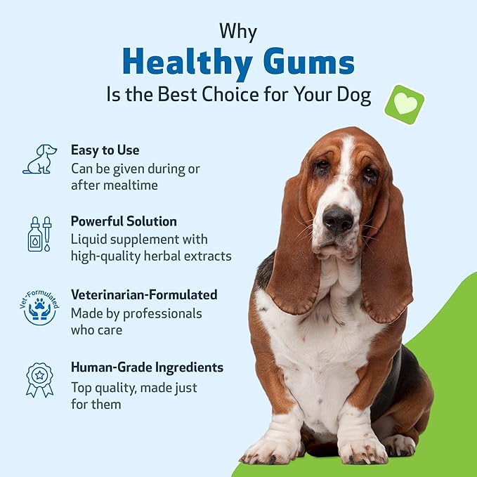 Pet Wellbeing Healthy Gums for Dogs - Topical Drops for Oral Care, Dental Health & Fresh Breath - NASC Certified & Vet-Formulated - 4 oz Liquid