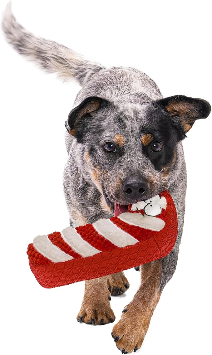 goDog Holiday Collection Mixed Materials TPE-Plush Candy Cane Squeaky Dog Toy, Chew Guard Technology - Red/White, One Size