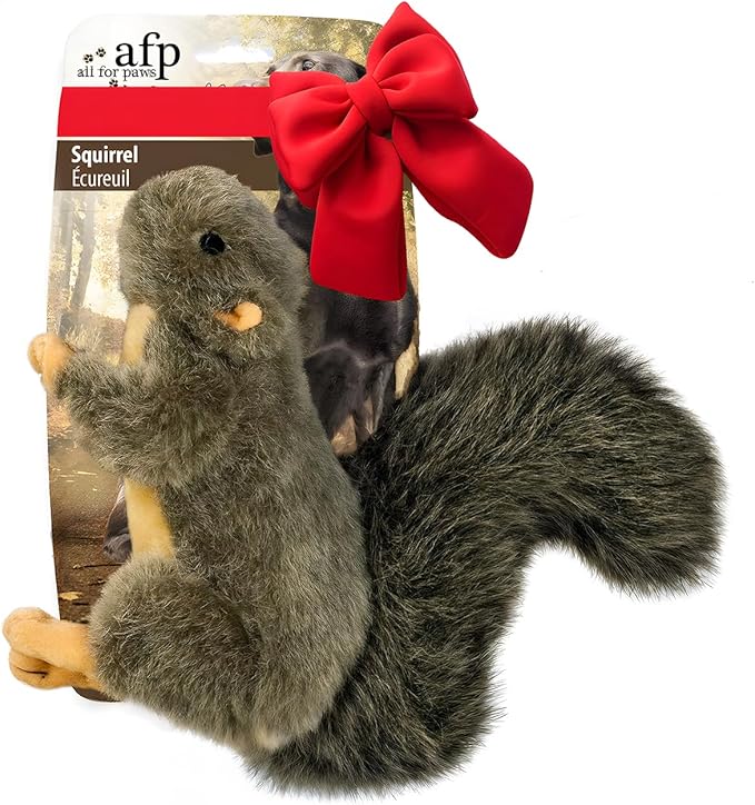 ALL FOR PAWS Interactive Dog Squirrel Plush Squeaky Toy - Perfect Puppy Enrichment Toy, Large