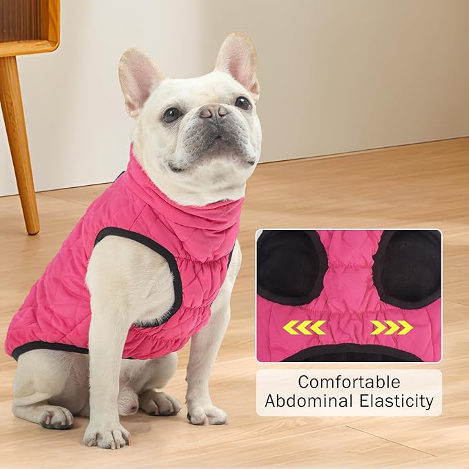 SCENEREAL Dog Winter Coat - Warm Jacket with Built-in Harness for Small & Medium Dogs, Waterproof, Fleece Puffer Vest, Windproof & Snow Clothes for Puppy Pet