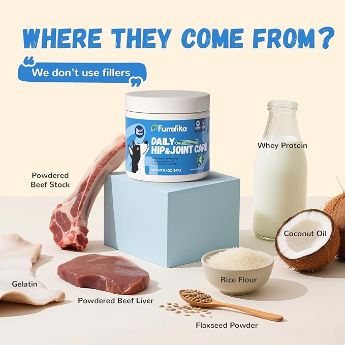 Furrolika Hip and Joint Supplement for Dogs – Made in The USA – Glucosamine, Chondroitin, MSM, Vitamin C – Chewable Joint Support for Mobility & Comfort – Beef Flavor – 60 Soft Chews