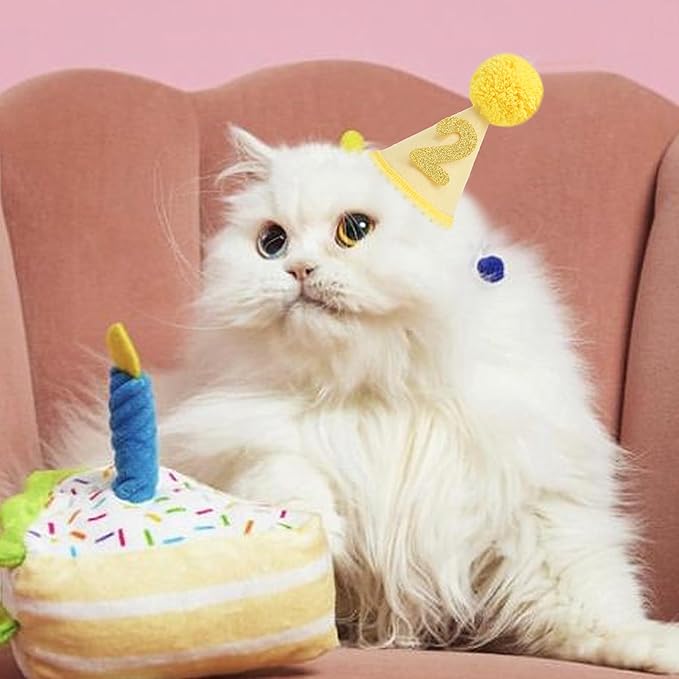 Pet Birthday Hat with Interchangeable Numbers 1-10 | Adjustable Pet Party Cone Hat for Dogs & Cats | Puppy Birthday Photo Props for 1st to 10th Birthday Celebrations (Yellow Birthday Pet Hat)