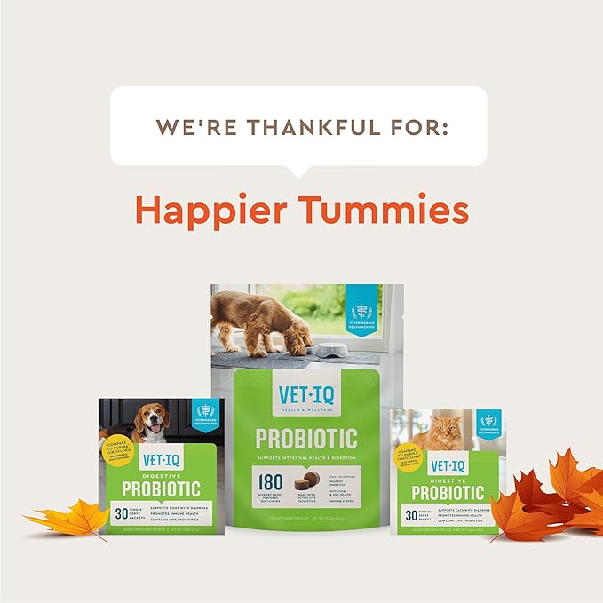 VetIQ Probiotic Powder for Dogs, Treats Diarrhea, Digestive Issues, Food Sensitivity, Chicken Flavored, Single-Serve Packets, 30 Count