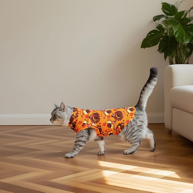 EXPAWLORER Thanksgiving Cat Sweater - Sweaters for Cats Only Soft Warm Pet Clothes, Fall and Winter Turkey Coat Pullover Design, Fleece Sweatshirt Clothing Also for Puppy Small Dogs, Medium