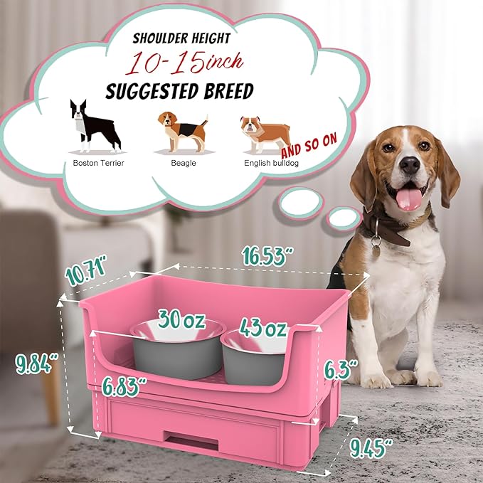 Mess Proof Dog Bowls, No Mess Dog Food and Water Bowl Set, No Spill Pet Feeder with 2 Stainless Steel Bowls for Medium Dogs