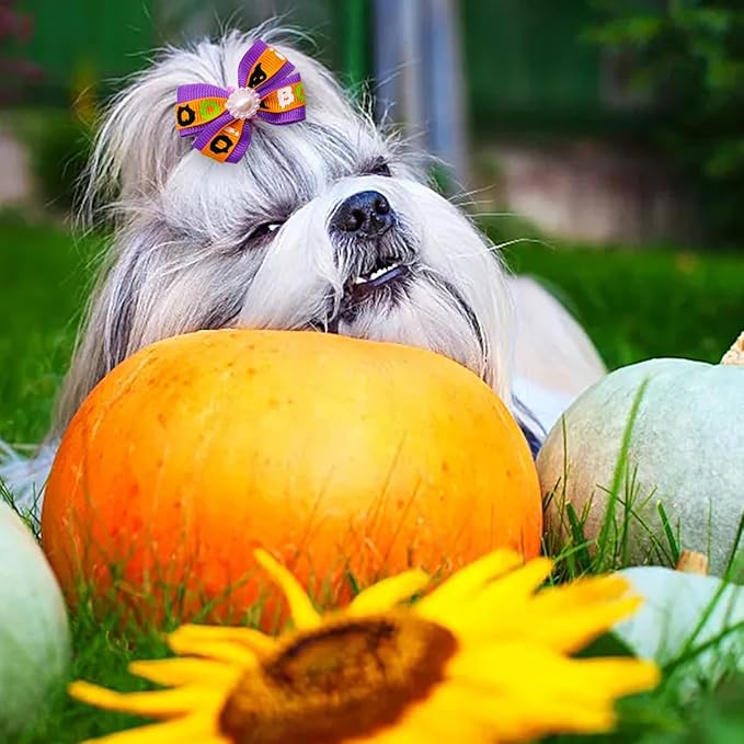 PET SHOW 20pcs Dog Hair Bows with Alligator Clips for Small Medium Dogs Bowknot Hair Clips Cat Puppy Yorkshire Grooming Hair Accessories Assorted (Halloween Thanksgiving Day)