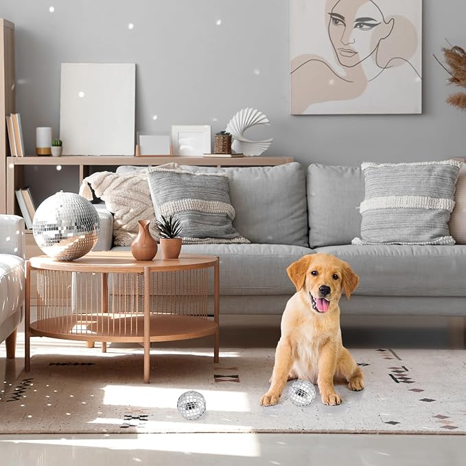 HyDren 2 Pcs Dog Disco Plush Balls, 4 in Squeaky Stuffed with Fluffy Squeaky Toys Pet Interactive Chew Balls for Small and Medium Puppy Dogs Cats