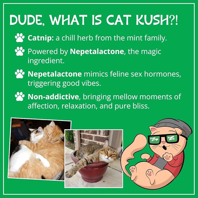 Organic Catnip by Cat Kush, Safe Premium Blend Perfect for Cats, Instilled with Maximized Potency your Kitty is Guaranteed to Go Crazy for! (1 Cup)