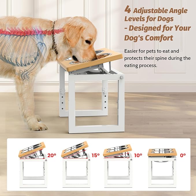 Dog Bowls Elevated, 4 Height & Angle Adjustable Raised Dog Bowl Stand, Elevated Dogs Bowl Stand For Medium Sized Pet, Sturdy Bamboo Dogs Feeding Station With 2x 48oz(6cup) Stainless Steel Dishes,White