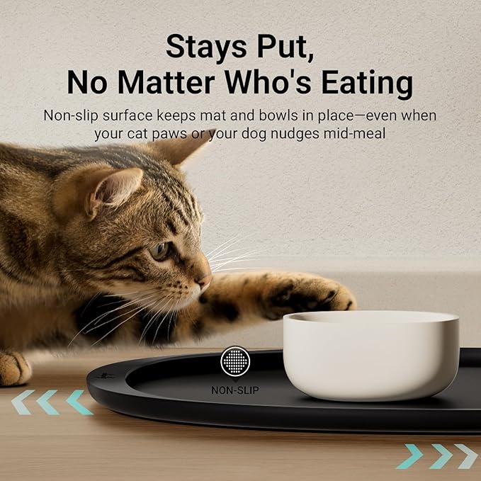 DownyPaws Cat Food Mats for Floors Waterproof, BPA Free Silicone Pet Feeding Mat, Non-Slip Pet Food Mat with High Raised Edge, Cat Placemat for Messy Drinkers, 18"×12.5", Black