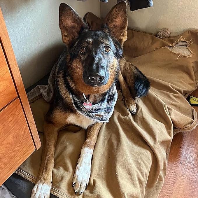 Lionet Paws Dog Bandana Washable Cotton Handkerchief Scarf Triangle Bandana for Small Medium Large Dogs Black Grid