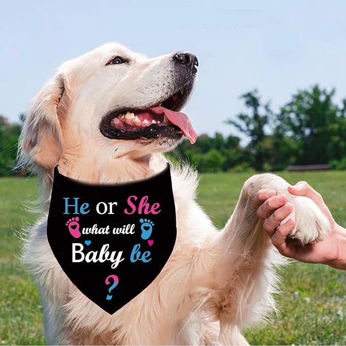 He or She What Will Baby Be? Reveal Announcement Dog Bandana, Pregnancy Baby Announcement, Pets Prop Party Supplies, Dog Accessories