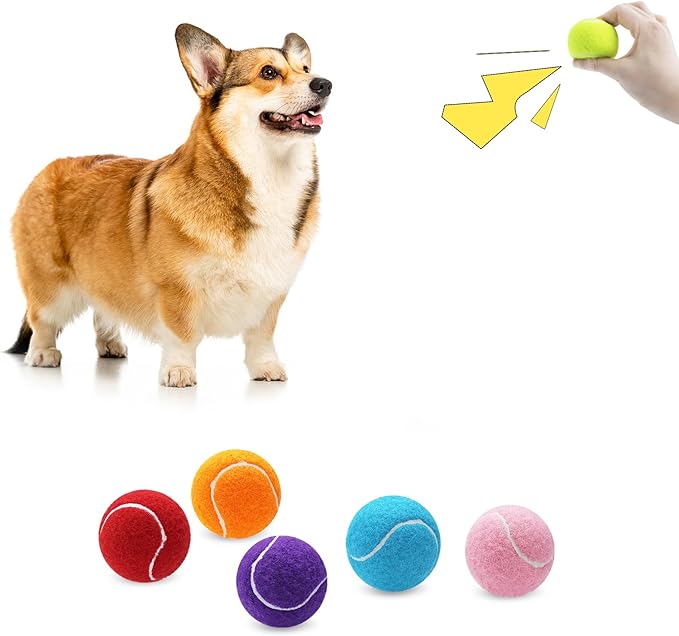 Magicorange 6 Pack Small Tennis Balls, 2 inch Squeaky Tennis Ball for Dogs,Colorful Easy Catching Squeaky Dog Balls with Mesh Bag for Easy Transport (Multicolor)