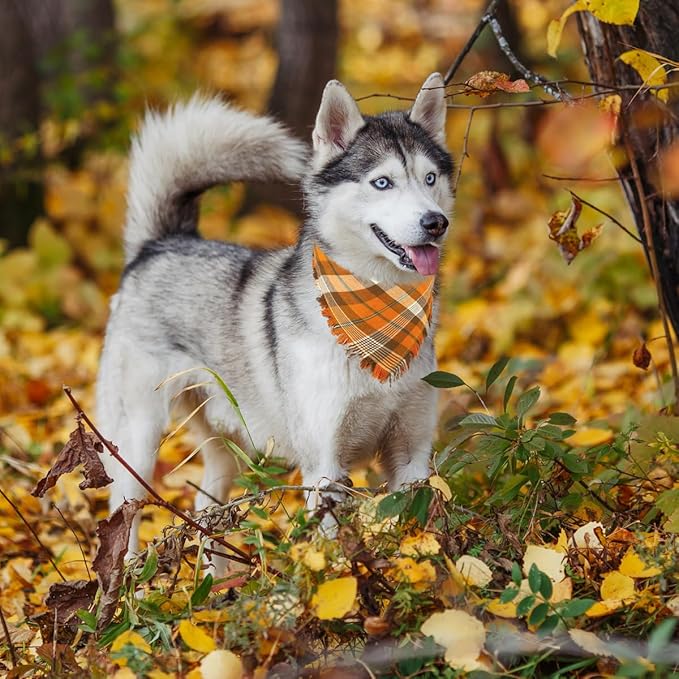 Kytely Thanksgiving Fall Dog Bandanas 2 Pack, Autumn Dog Bandana Large, Orange Plaid Pet Scarf for Boy and Girl, Holiday Halloween Reversible Triangle Bibs Accessories for Dogs Pets