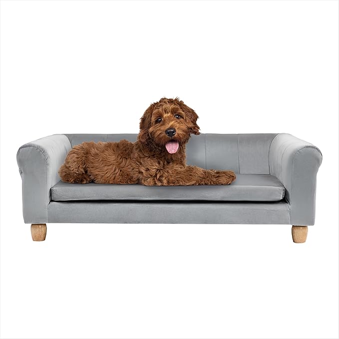 Critter Sitters 42-In. Elegant Gray Faux-Velvet Rectangular Large Dog Bed for Medium and Large Dogs, Durable Elevated Dog Beds, Comfortable Dog Couch, Modern and Stylish Plush Sofa for Dogs