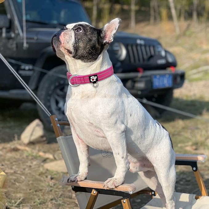 azuza Reflective Dog Collar, Soft Neoprene Padded Pet Collar with ID Tag Ring, Adjustable for Medium Dogs,Hot Pink,M