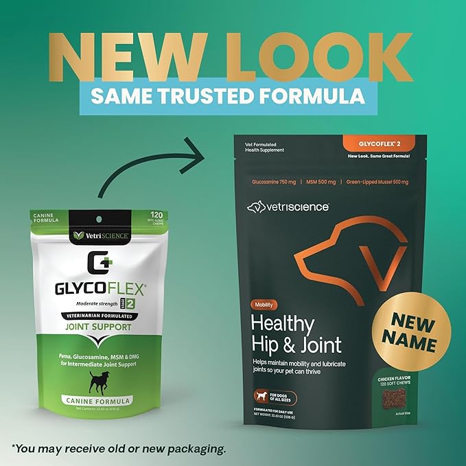 VetriScience Healthy Hip & Joint, GlycoFlex 2 for Dogs – Vet Formulated Glucosamine, MSM & Green-Lipped Mussel Soft Chew to Support Mobility, Flexibility & Joint Health, Chicken Flavor Chew, 120 Cnt