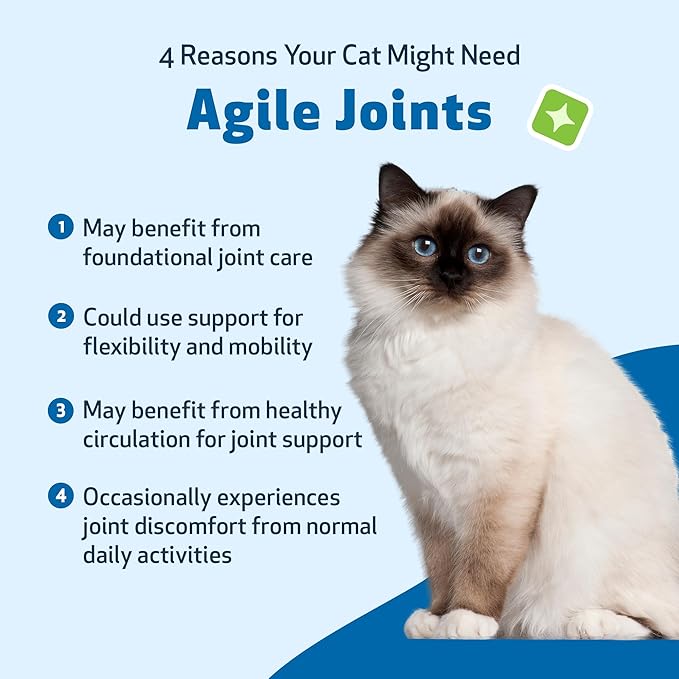 Pet Wellbeing Agile Joints for Cats - Hip and Joint Health, Mobility, Devil’s Claw, Boswellia, Joint Ligament and Cartilage - Veterinarian-Formulated Herbal Supplement 2 oz (59 ml)