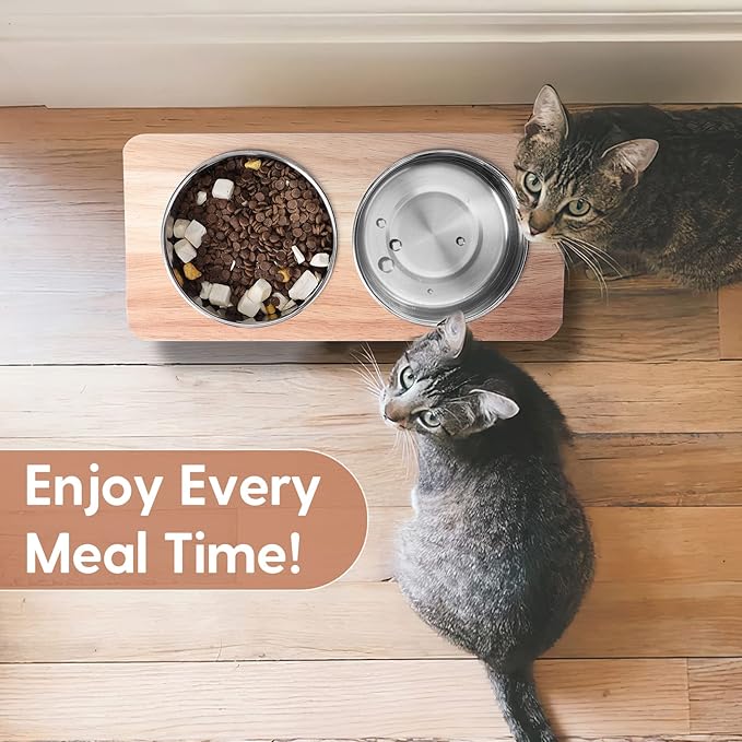 Elevated Cat Bowls, 15° Tilted Raised Cat Food Bowls Wood Pet Bowls with Stand Anti Vomiting 2 Stainless Steel Bowls for Cats and Puppy