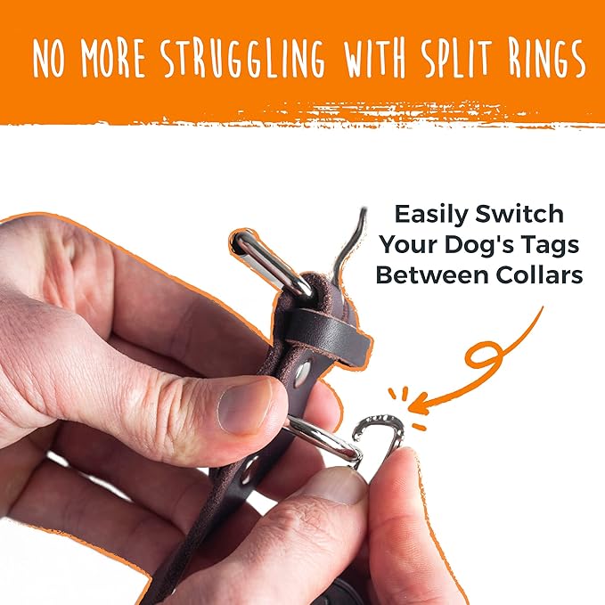 Mighty Paw Dog Tag Carabiner Clips - 3 Pack Strong Dog Clip - Weather Resistant & Easy to Clean Quick ID Holders - Easy Switch Pet Tags - Attach Keys or Poop Bag Holders - for All Size Collars