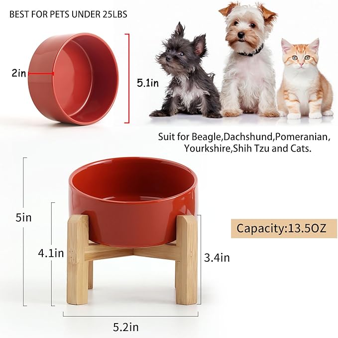 Petygooing Raised/Elevated 15°Slanted Ceramic Dog Bowl for Small Breeds,Tilted Anti Slip Pet Feeding Bowl,Food Water Dish with Stand for Cats and Small Dogs Puppy 13.5 OZ (5.1In / 1.7 Cups) Rust Red