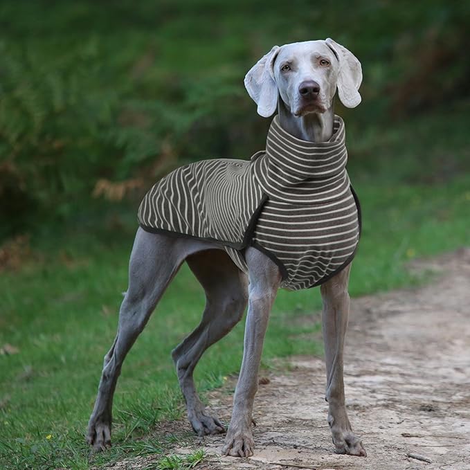 ROZKITCH Dog Winter Coat Soft Pullover Pajamas, Stripe Pet Windproof Warm Cold Weather Jacket Vest Cozy Jumpsuit Apparel Outfit Clothes for Walking Hiking Travel Sleep Stripe M