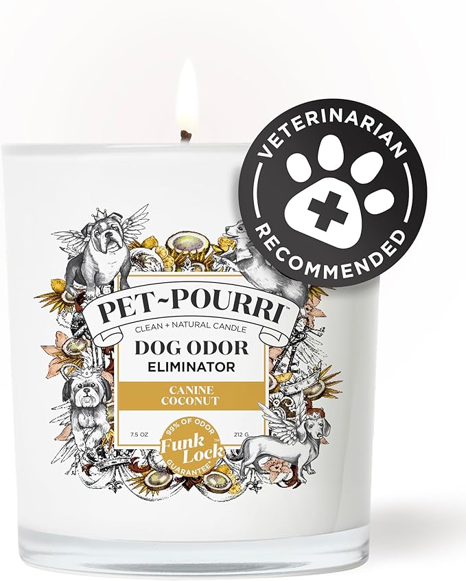 Pet-Pourri Canine Coconut Dog Deodorizer Candle – Puppy & Dog Safe – Plant Based Ingredients & Wax – Vet Approved – Aromatherapy & Air Freshener for Pet Odor – Scented with Bamboo, Jasmine & Pear