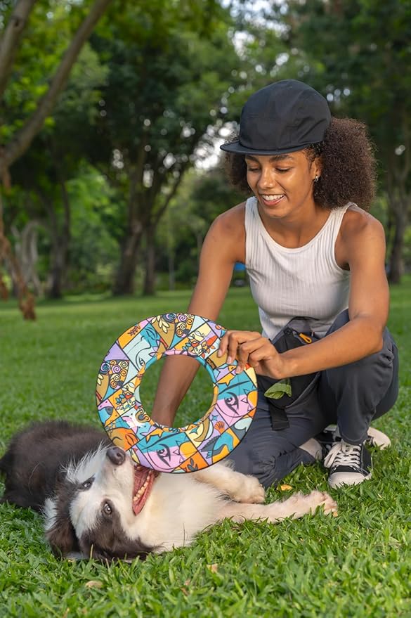 OllyDog Super Flyer Dog Frisbee Toy, 11" – Durable, Lightweight & Water-Resistant Flying Disc – Soft on Teeth & Gums – Floats on Water – Outdoor Fetch Toy for Medium & Large Dogs (Cloud9)