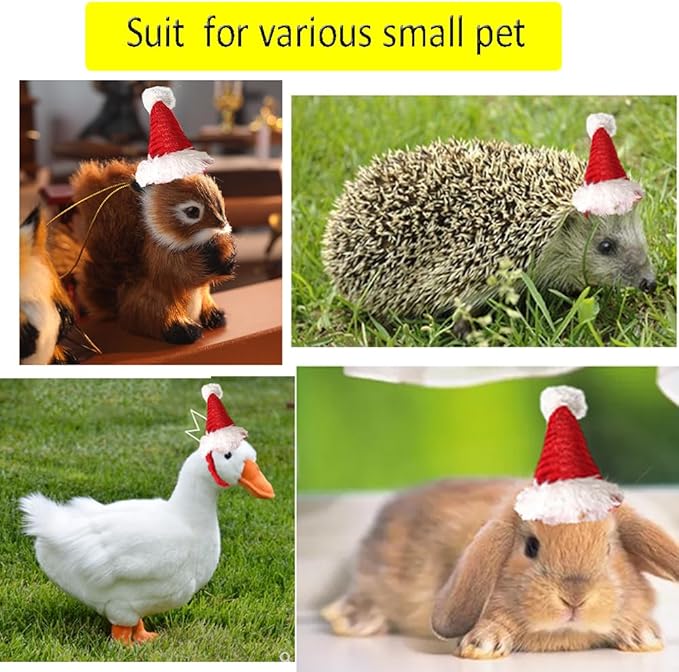 ANIAC Christmas Hamster Hats Guinea Pig Costume Mini Santa Hat for Kitten Chinchilla Rabbit Bunny Hedgehog Ferret Squirrel Rats Duck Newborn Puppy…