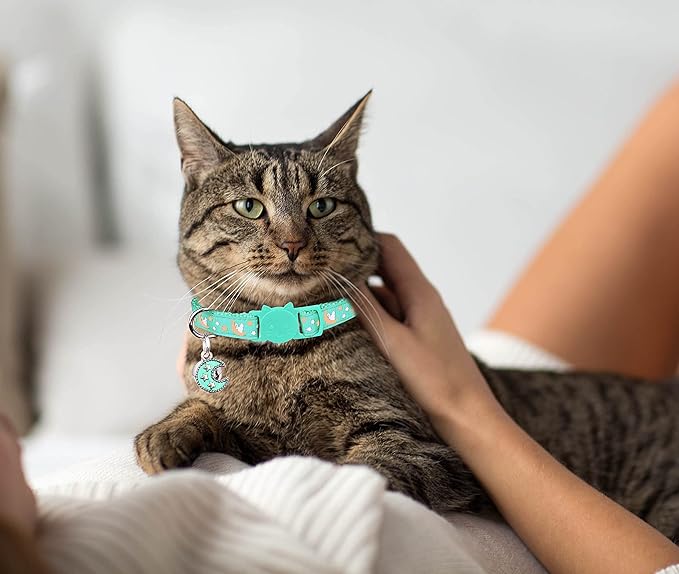 2Pcs Breakaway Cats Collars Cat Collars for Boy & Girl Cats Adjustable Kitten Collars with Bell,Purple+Teal