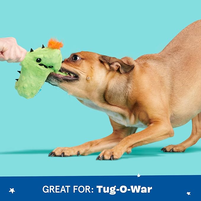 Barkbox 2 in 1 Interactive Plush Dog Toy - Rip and Reveal Toy for Dogs and Puppies - Stimulating Squeaky Pet Toys | Prickly Pete (Small)