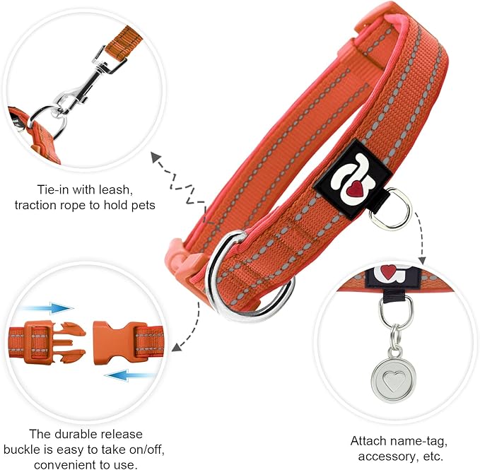 azuza Reflective Dog Collar, Soft Neoprene Padded Pet Collar with ID Tag Ring, Adjustable for Puppy and Small Dogs,Rust Red,XS