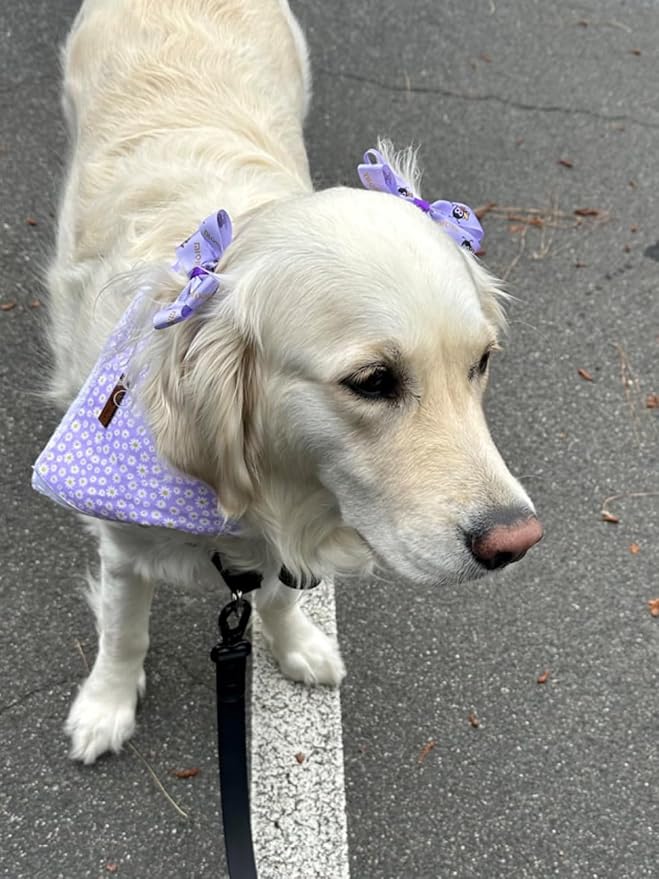 Lionet Paws Spring Daisy Dog Bandana Washable Cotton Handkerchief Scarf Triangle Bandana for Small Medium Large Dogs Girl Boy