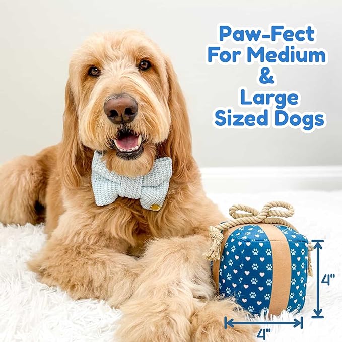 Gift Box Dog Toy – Christmas & Birthday Dog Toy, Interactive Squeaker,Rope, and Crinkles for Cute Puppy Stocking Stuffer