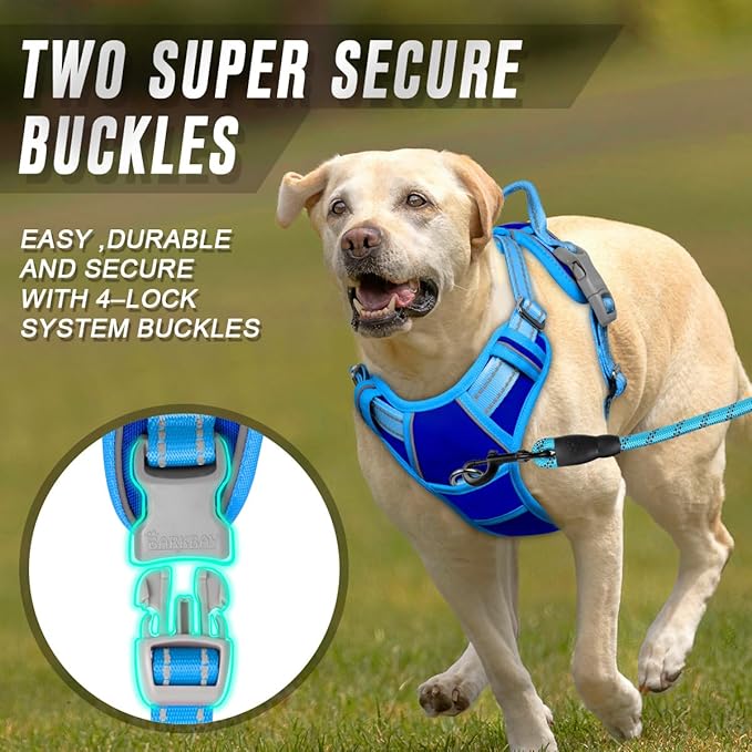 BARKBAY No Pull Dog Harness Front Clip Heavy Duty Reflective Easy Control Handle for Large Dog Walking(Sapphire Blue & Blue,L)
