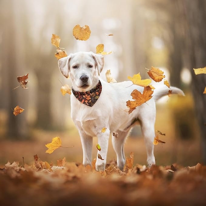 PAWCHIE Dog Bandanas Small Reversible Styles Pet Triangle Scarf Bibs - Adjustable with Two Snaps - Kerchief Set Accessories for Dogs, Puppy, Cats